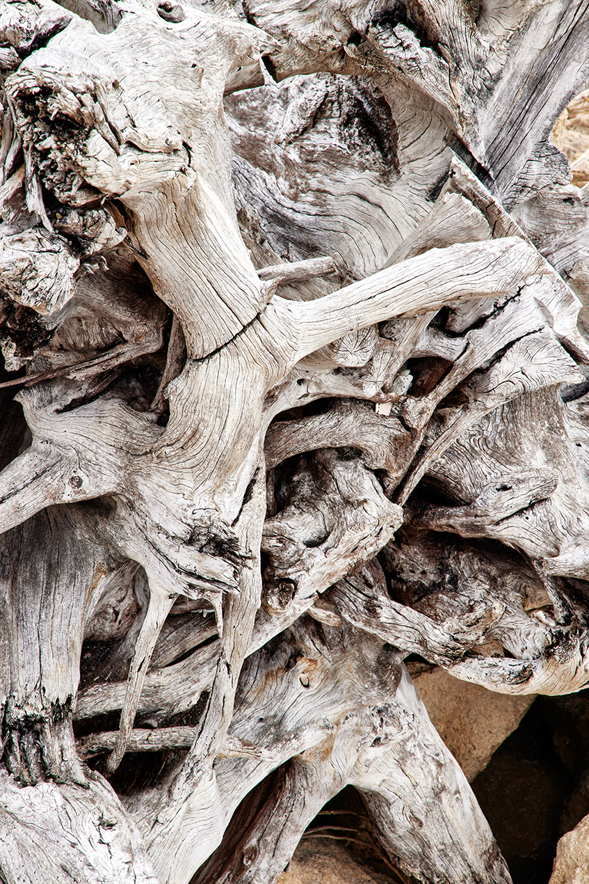 2021 03 08 WorkshopAPD ReadMcKendree 0047 V1