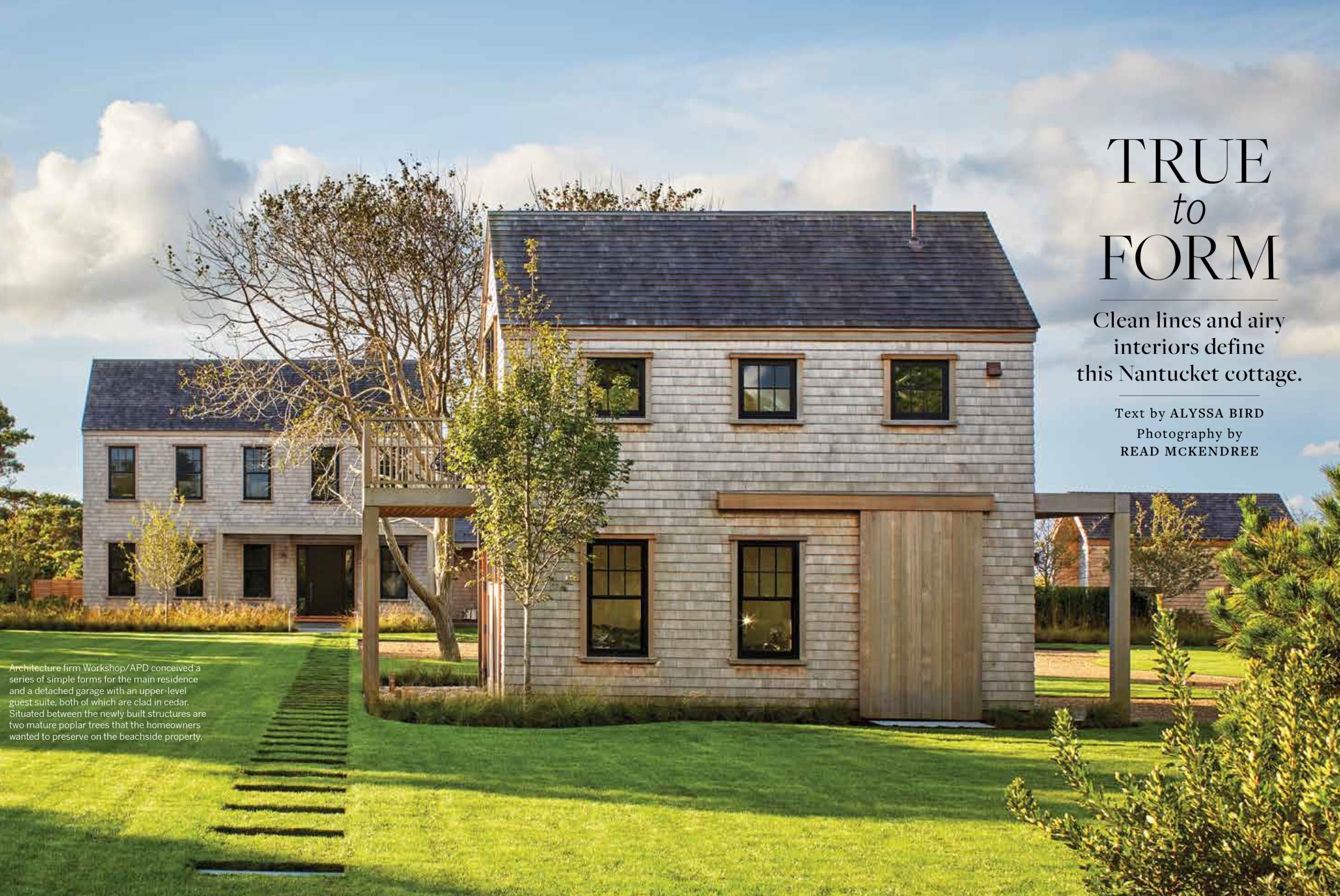 CI21 True To Form 2 Web