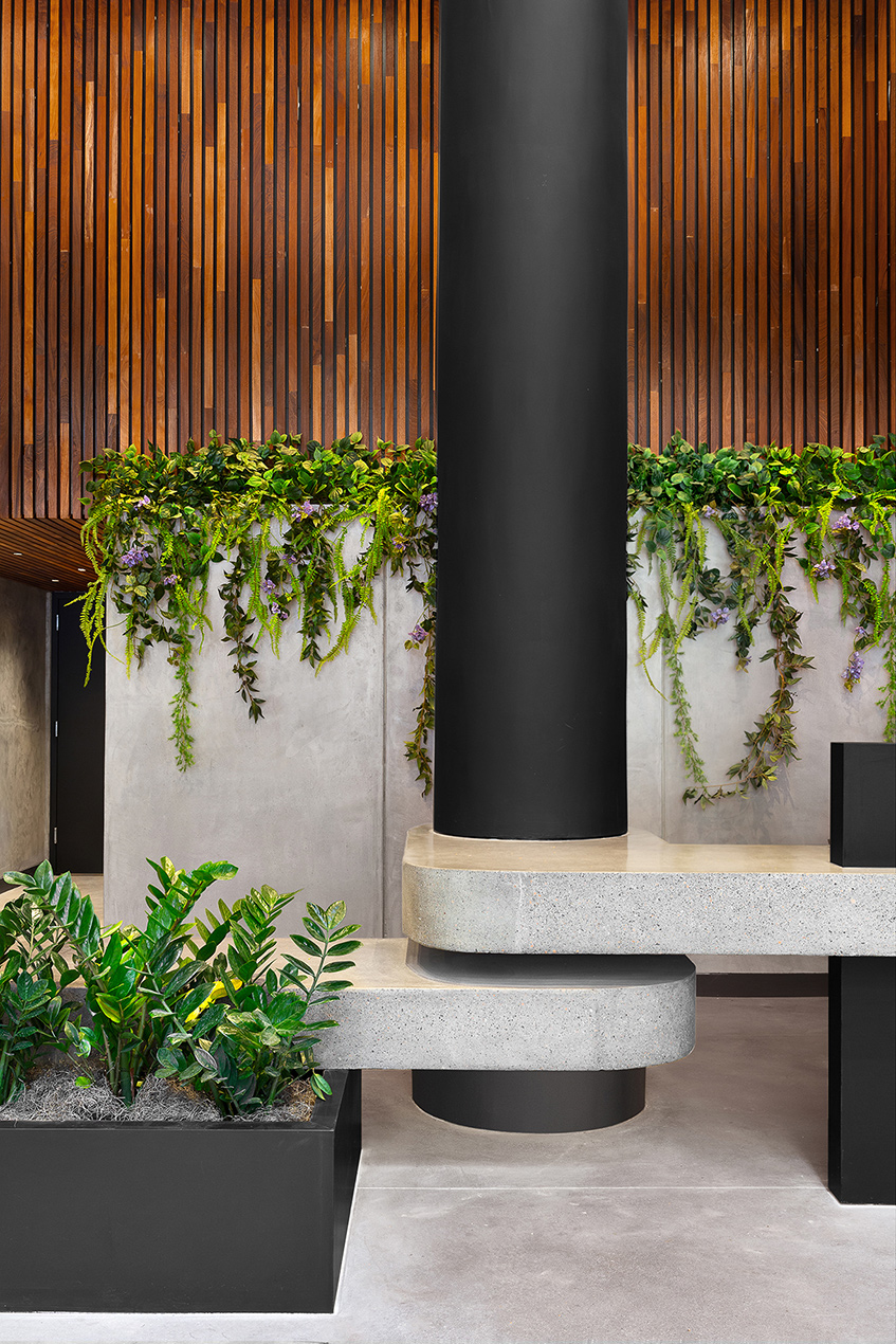 K1A0238 Noflower Web